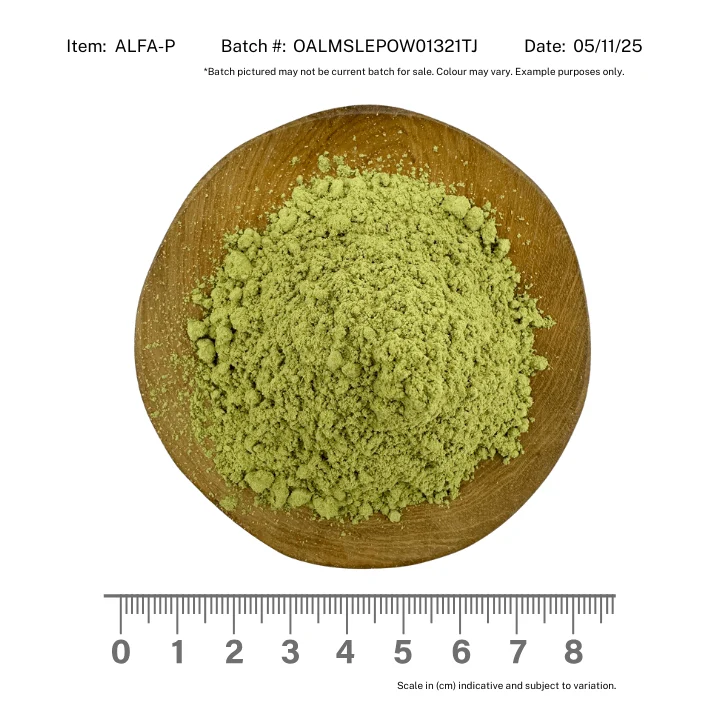 Alfalfa Organic Powder - Image 2