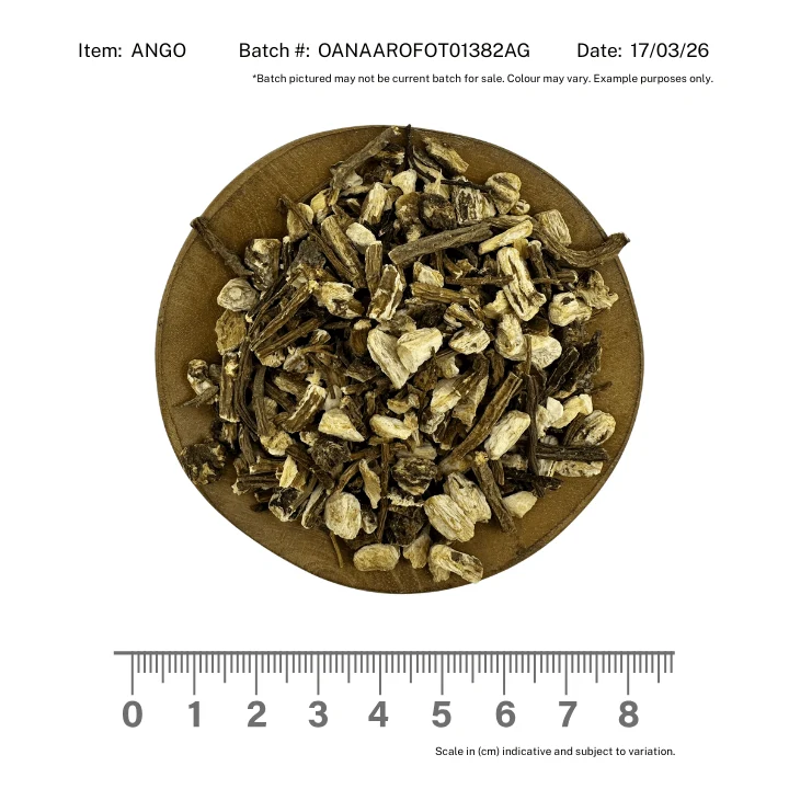 Angelica Root Organic - Image 2
