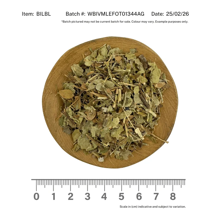 Bilberry Leaf - Image 2