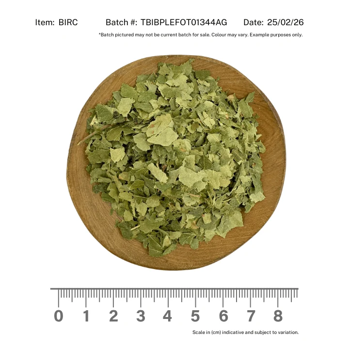 Birch Leaf - Image 2