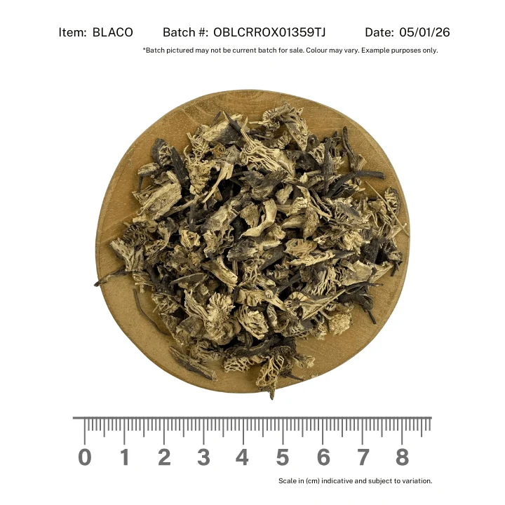 Black Cohosh Root Organic - Image 2