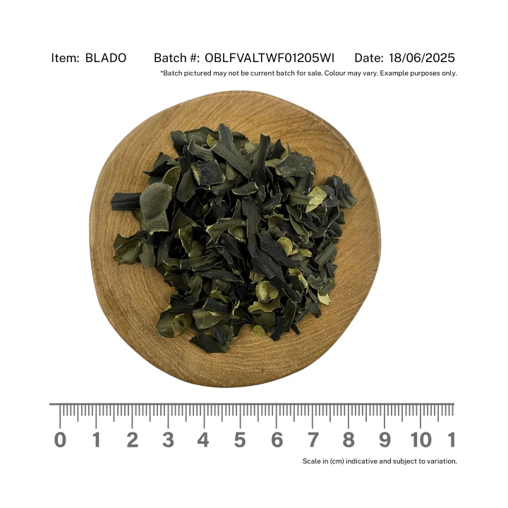 Bladderwrack Organic - Image 2