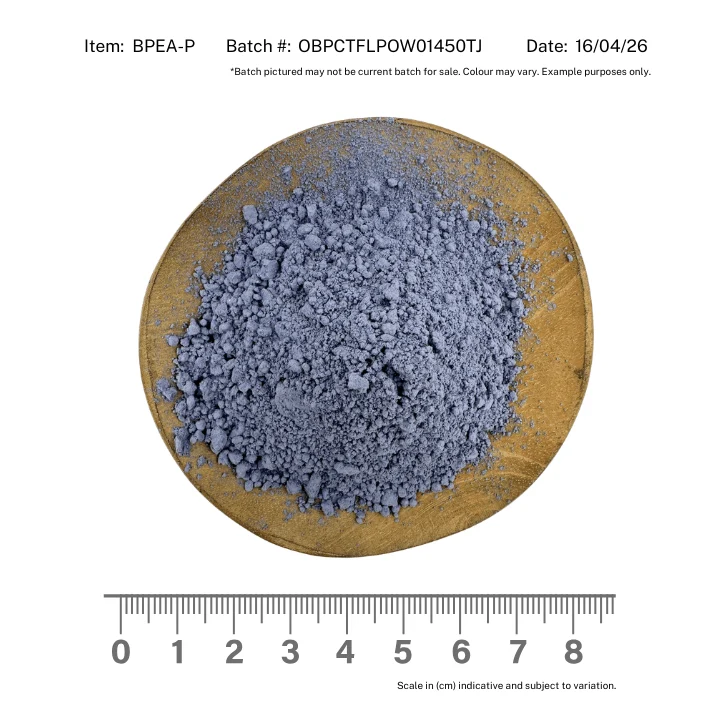 Blue Butterfly Pea Powder Organic - Image 2