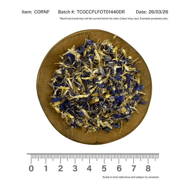 Blue Cornflower Petals - Image 2