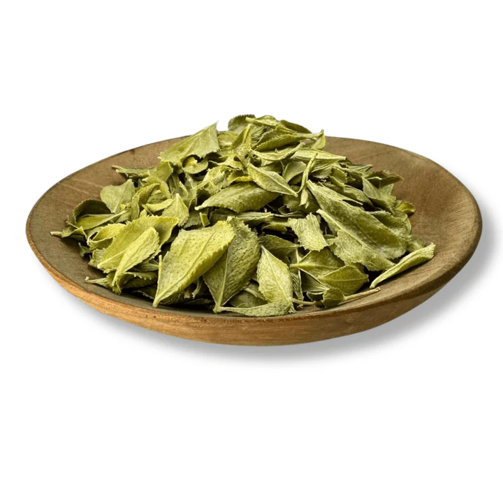 Buchu Leaf Organic