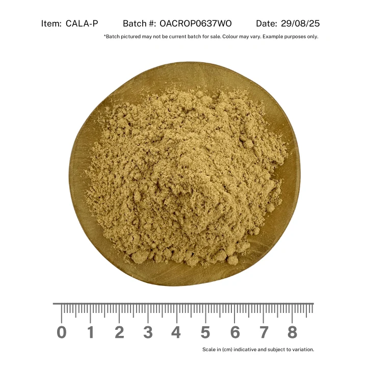 Calamus Root Powder Organic - Image 2
