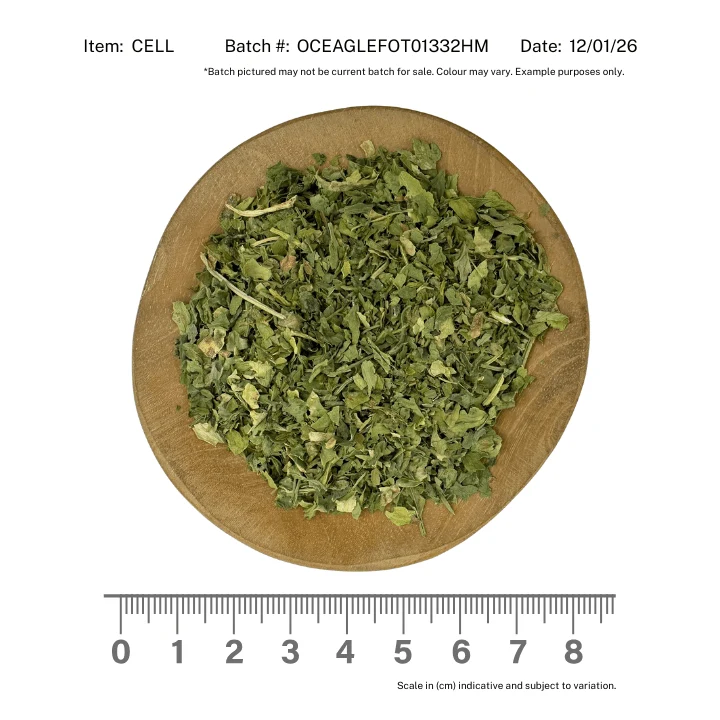 Celery Leaf Organic - Image 2
