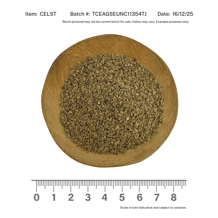 Celery Seed - Image 2