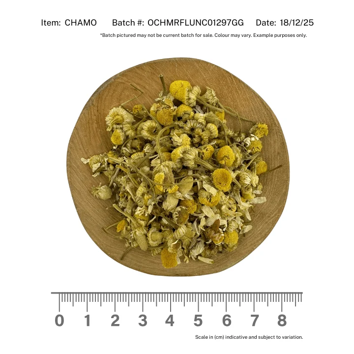Chamomile Flowers Organic - Image 2
