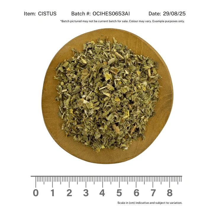 Cistus / Rock Rose Organic - Image 2