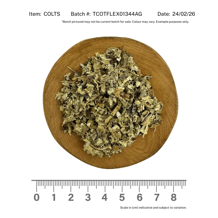 Coltsfoot Herb - Image 2