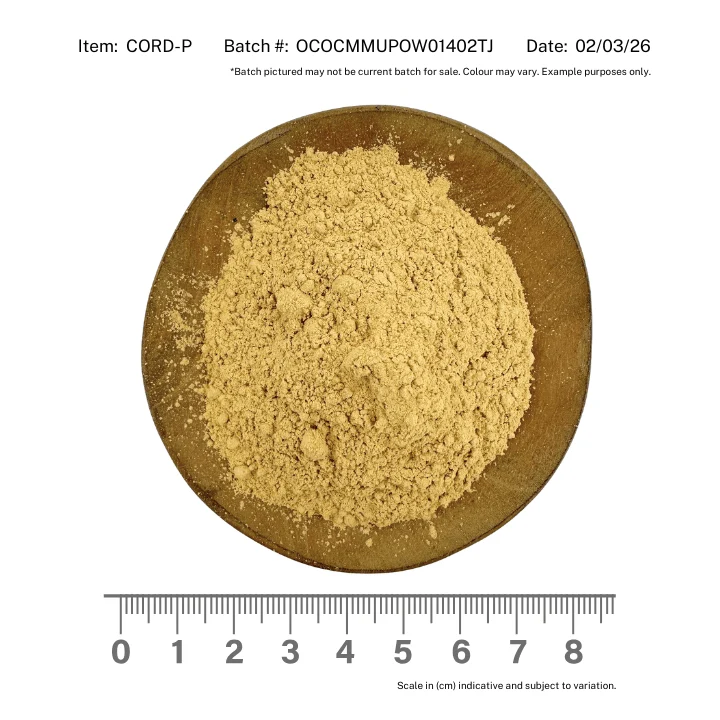 Cordyceps Mushroom Powder Organic - Image 2