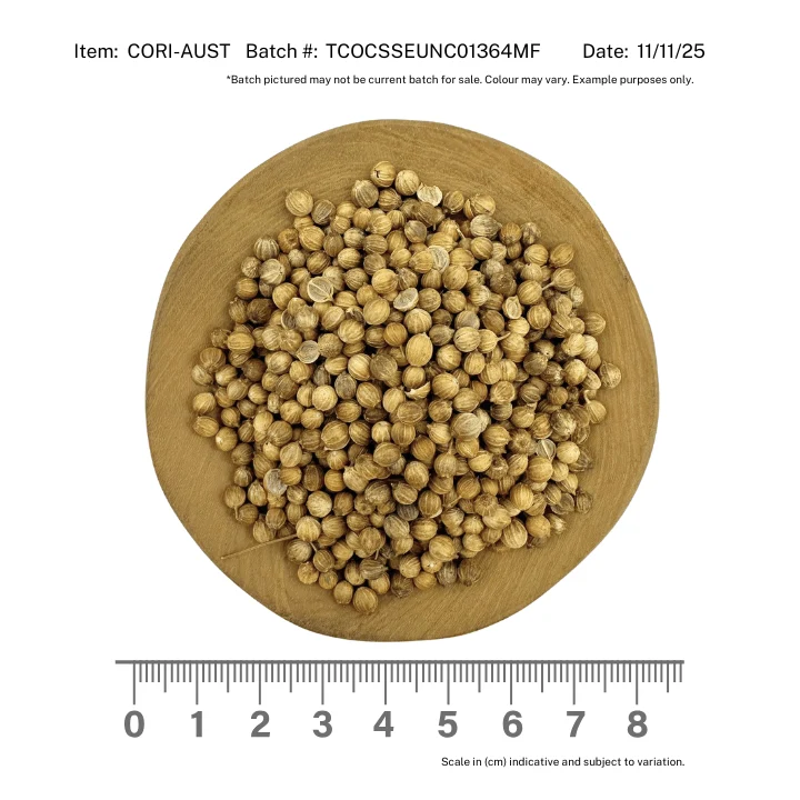 Coriander Seed AUSTRALIAN - Image 2