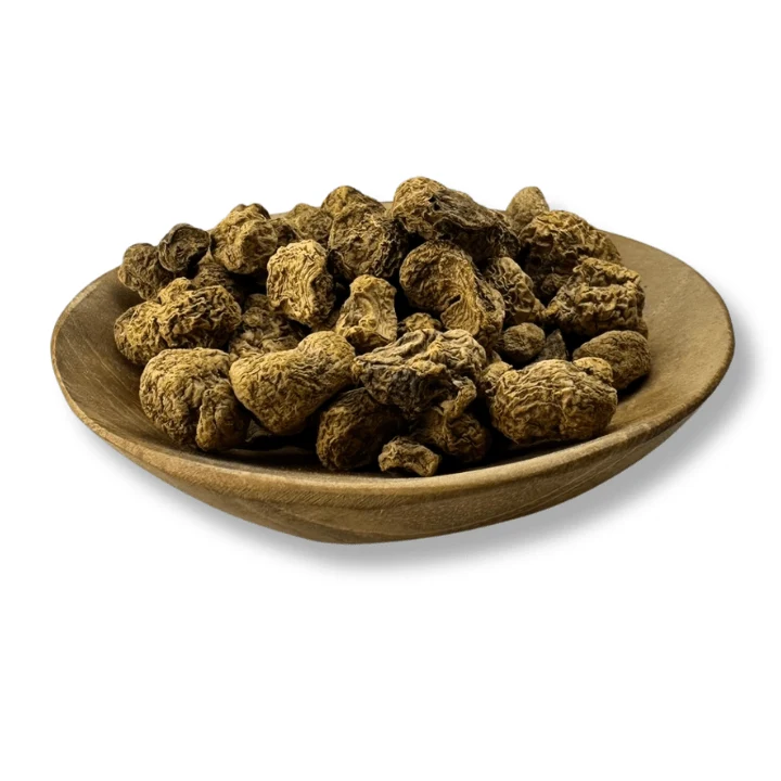 Corydalis Root