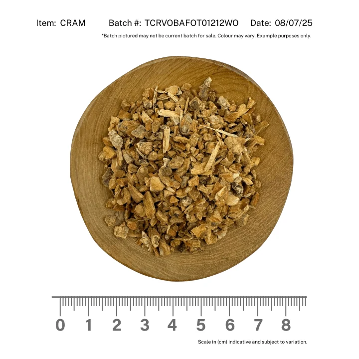 Crampbark - Image 2