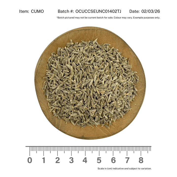Cumin Seed Organic - Image 2