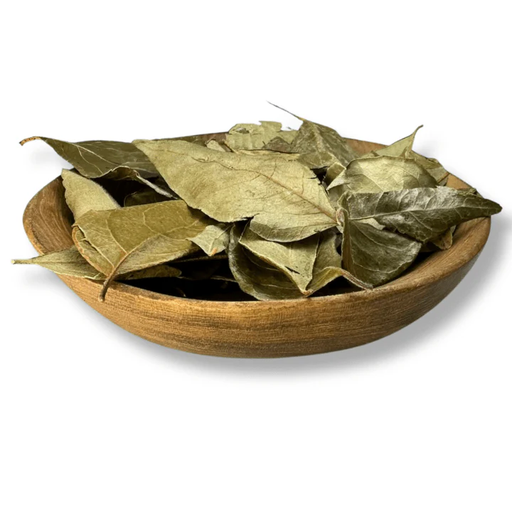 Curry Leaf Organic