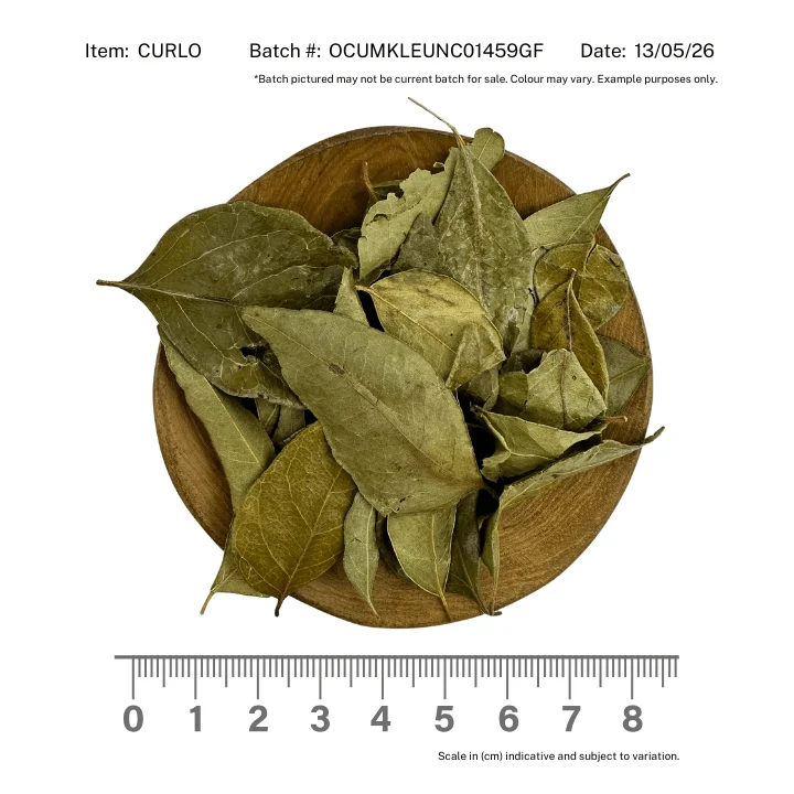 Curry Leaf Organic - Image 2