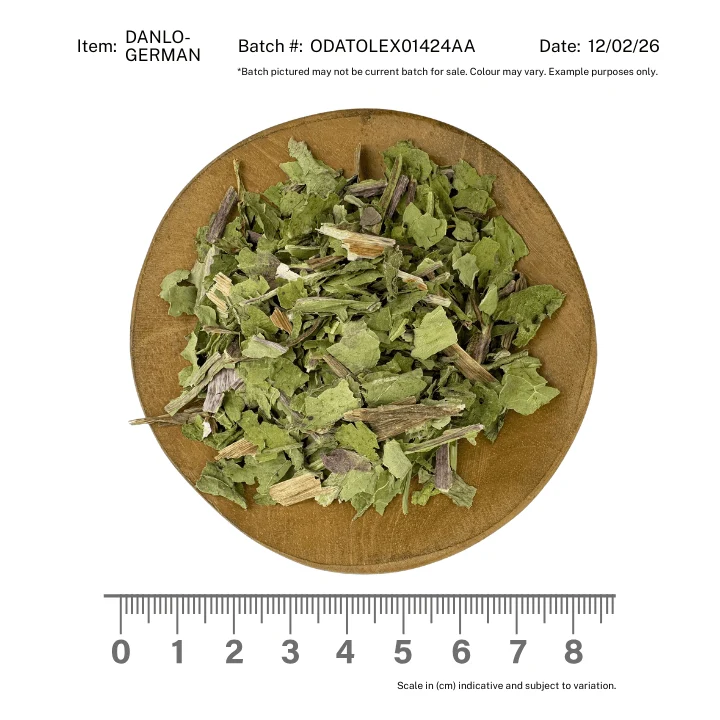 Dandelion Leaf - Image 2