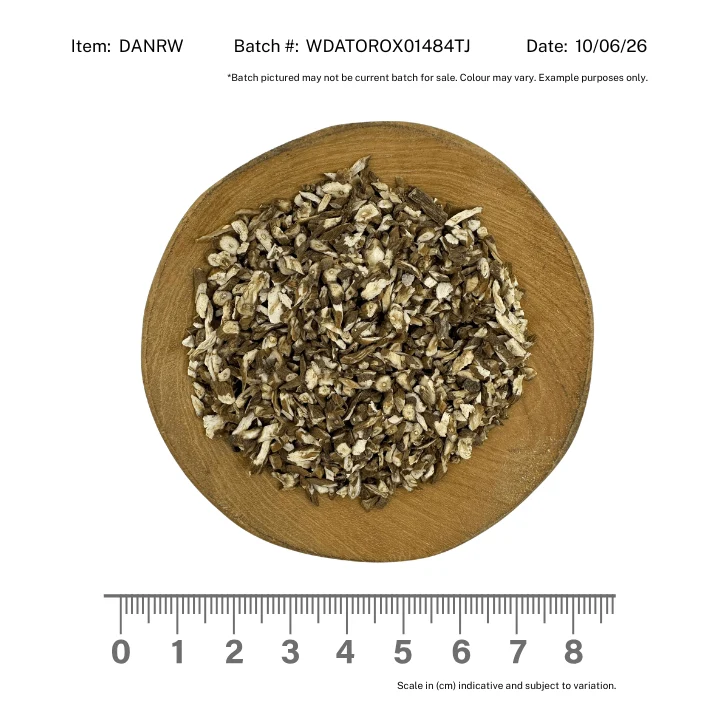 Dandelion Root - Image 2