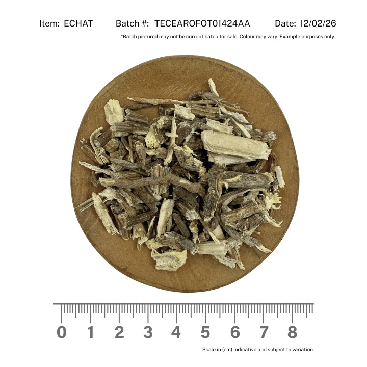 Echinacea Angustifolia Root - Image 2