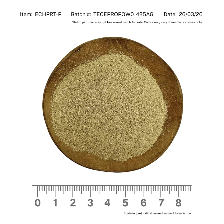 Echinacea Purpurea Root Powder - Image 2