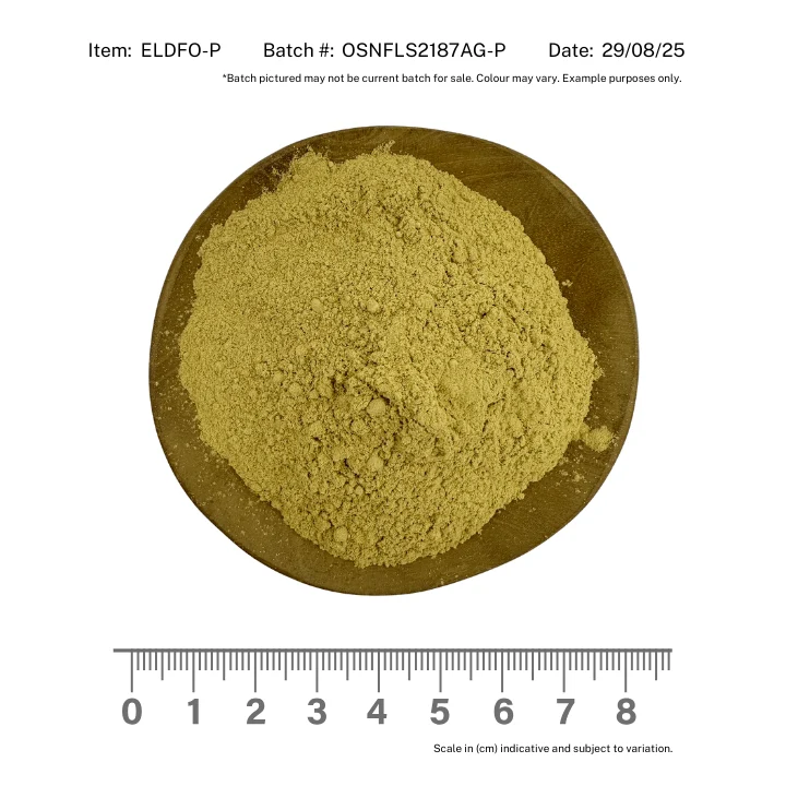 Elderflower Powder Organic - Image 2