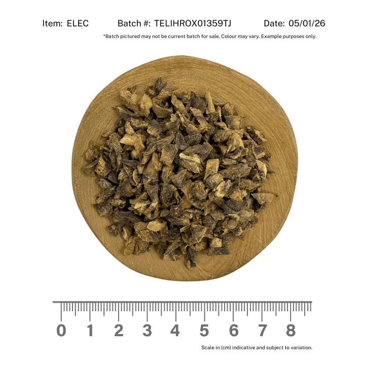 Elecampane Root - Image 2