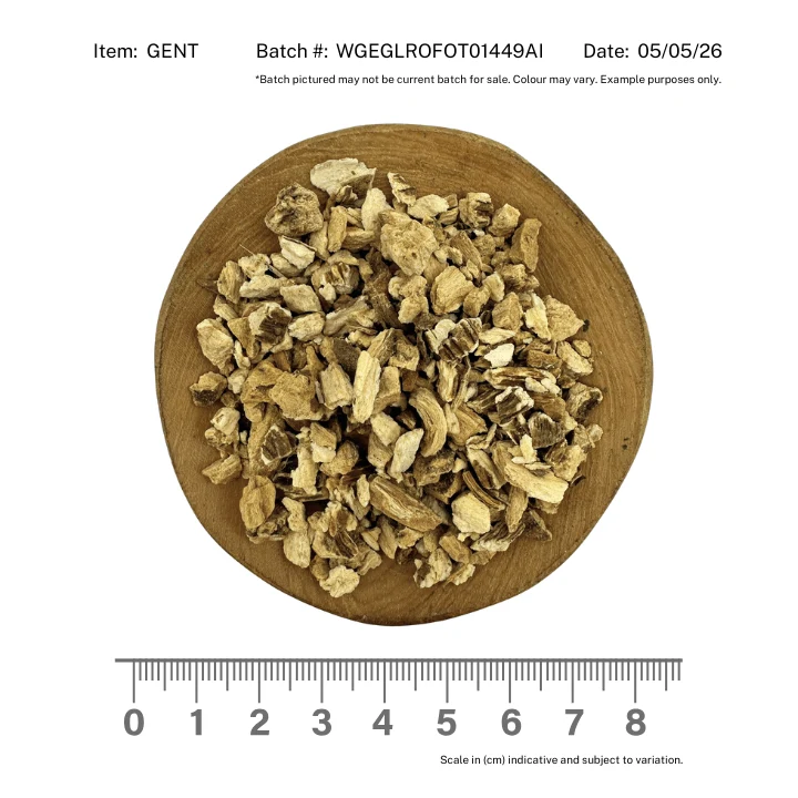 Gentian Root - Image 2