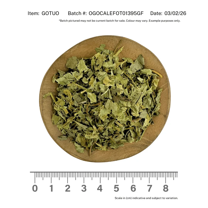 Gotu Kola Leaf Organic - Image 2