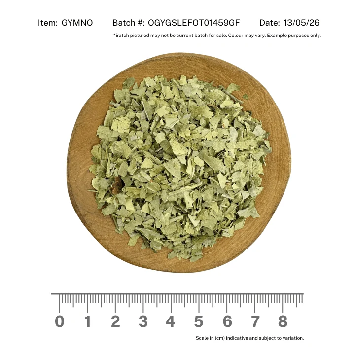Gymnema Leaf Organic - Image 2