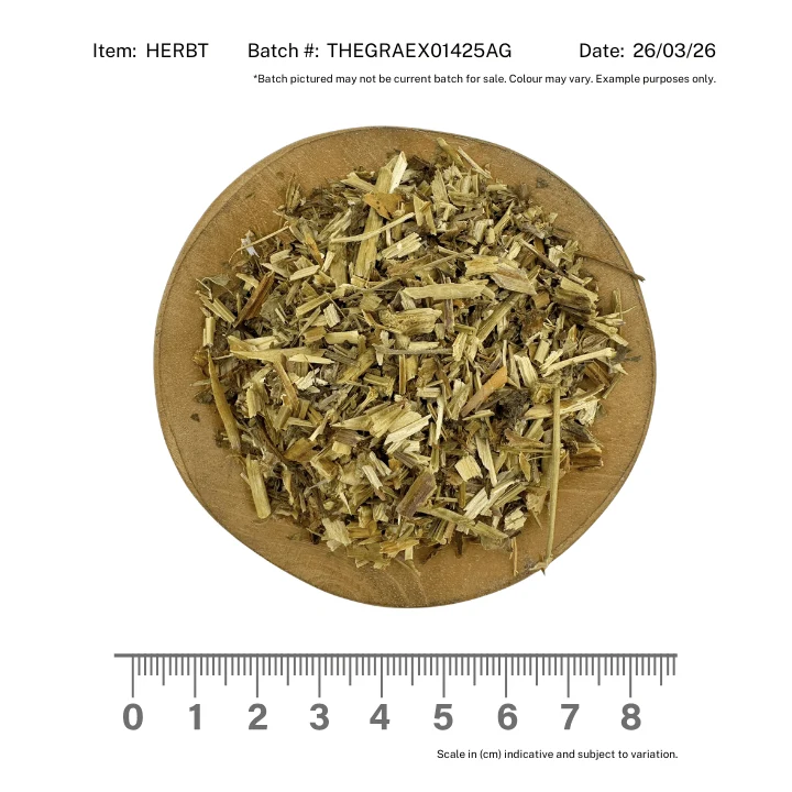 Herb Robert (standard cut) - Image 2