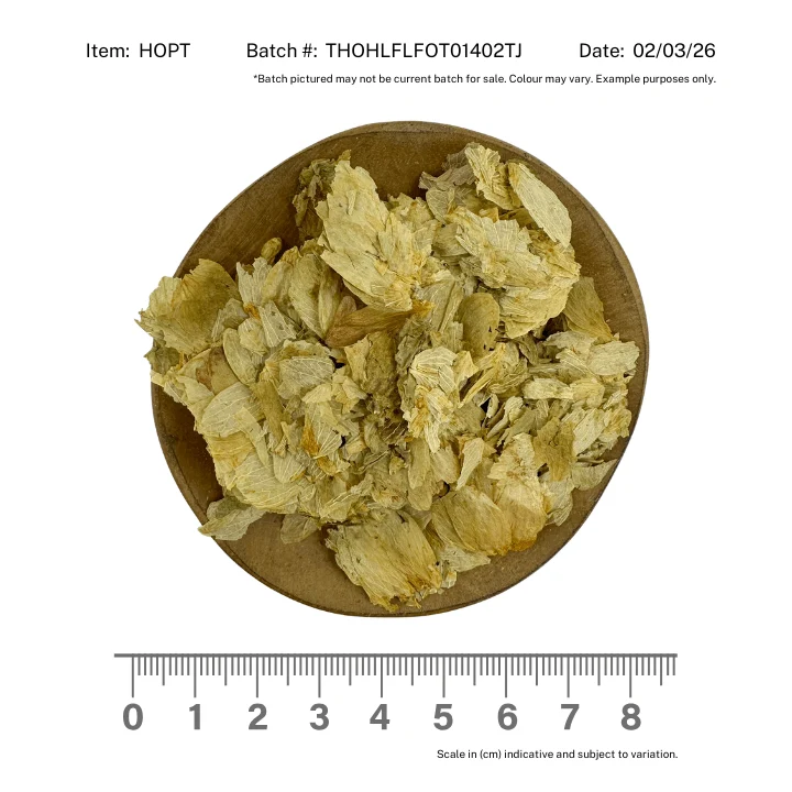 Hops Flower - Image 2