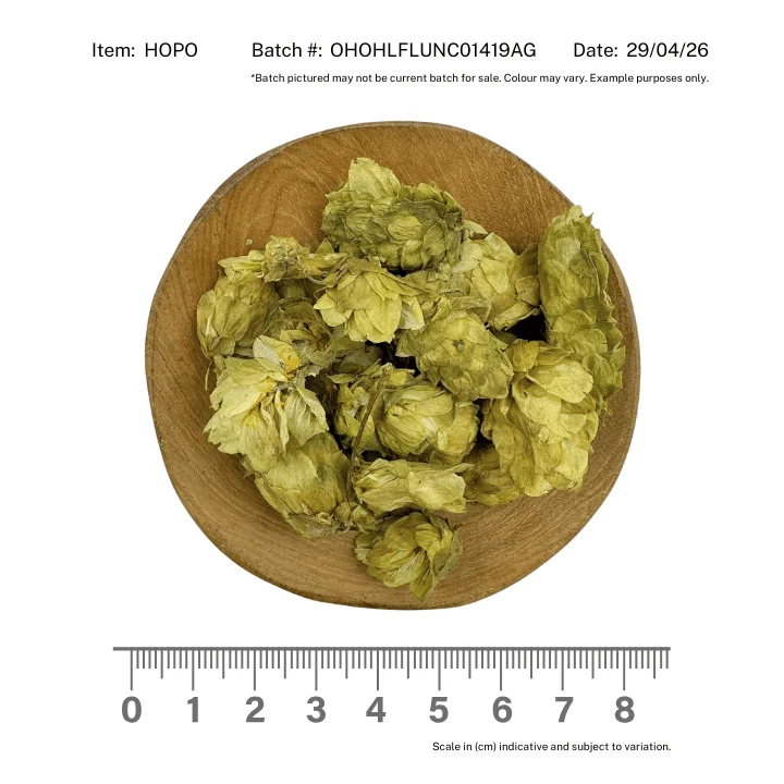 Hops Flower Organic - Image 2