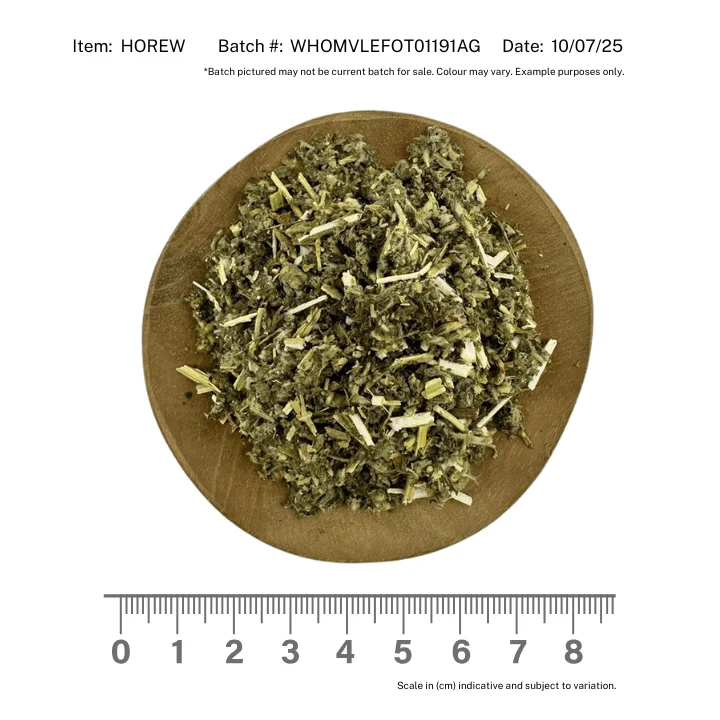 Horehound White - Image 2