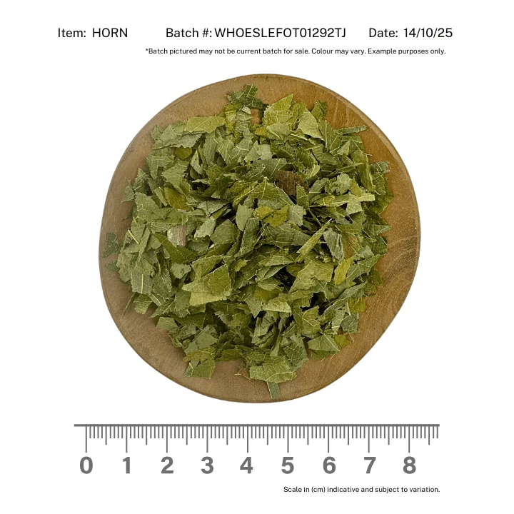 Horny Goat Weed - Image 2