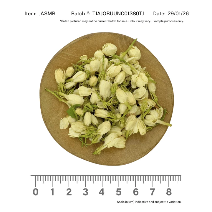 Jasmine Buds - Image 2