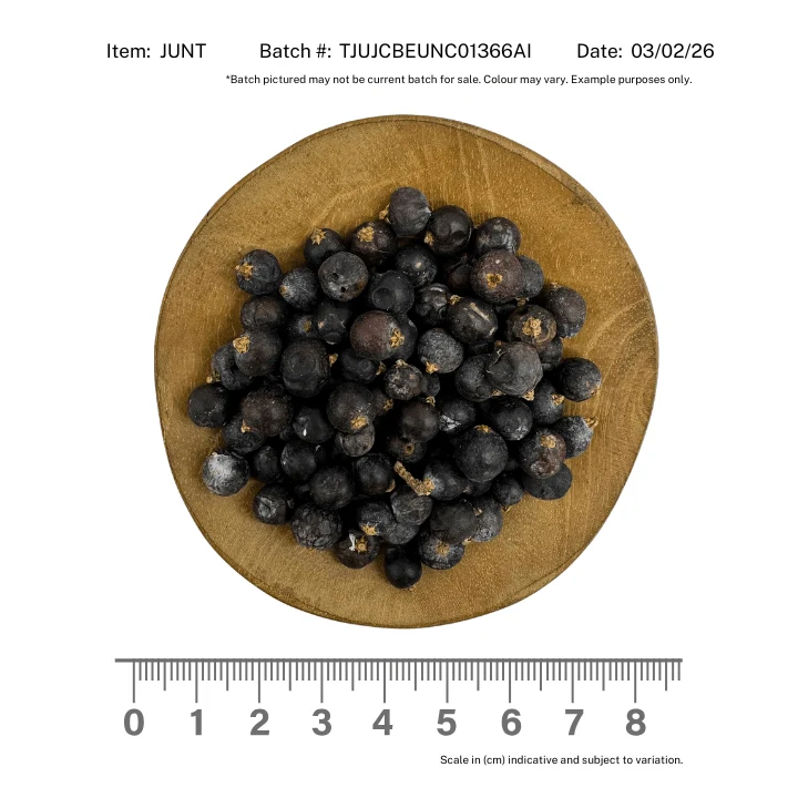 Juniper Berries - Image 2