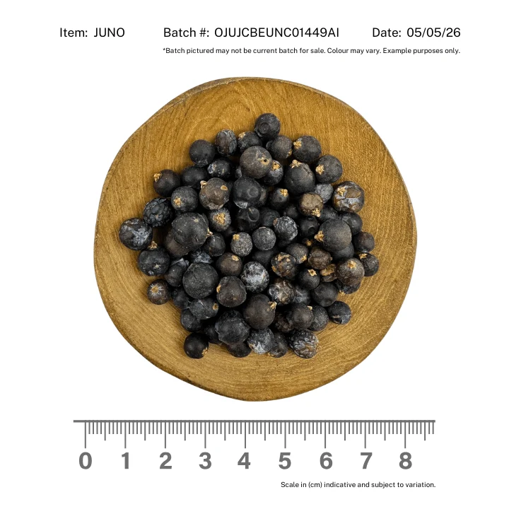 Juniper Berries Organic - Image 2