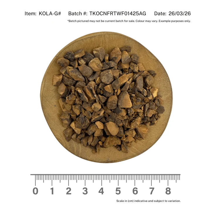 Kola Nut Granules - Image 2