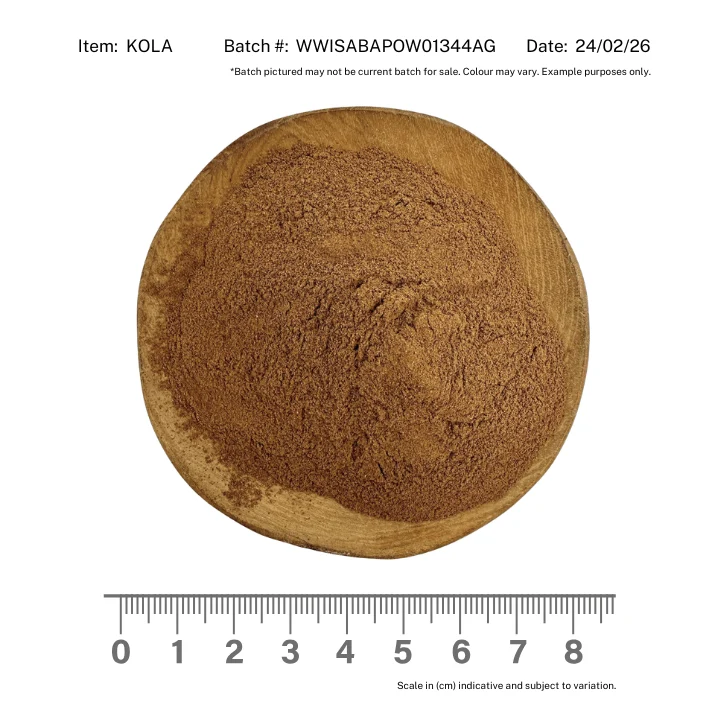 Kola Nut Powder - Image 2