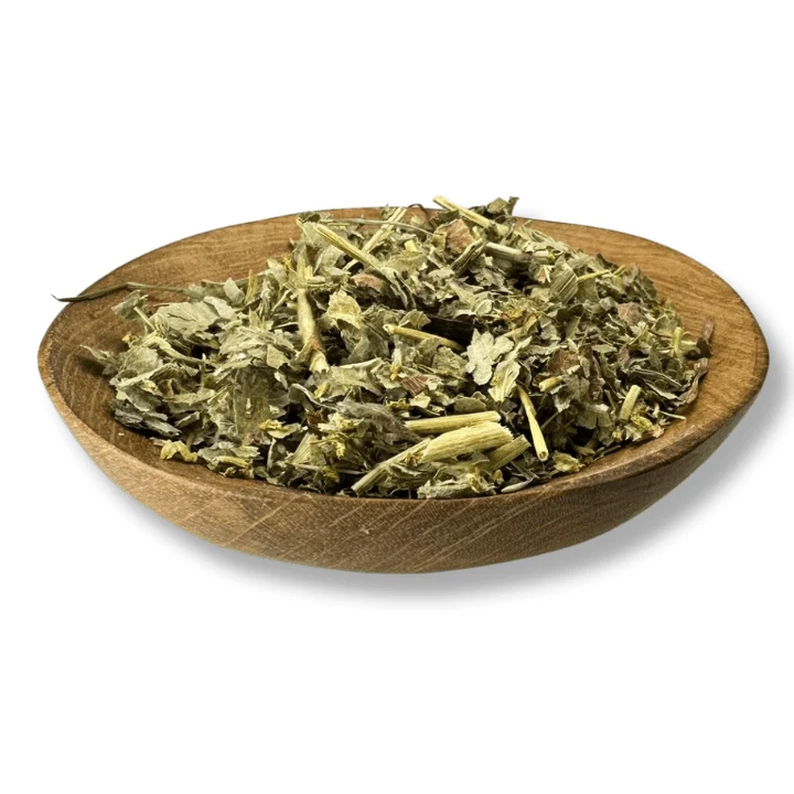 Ladies Mantle Herb