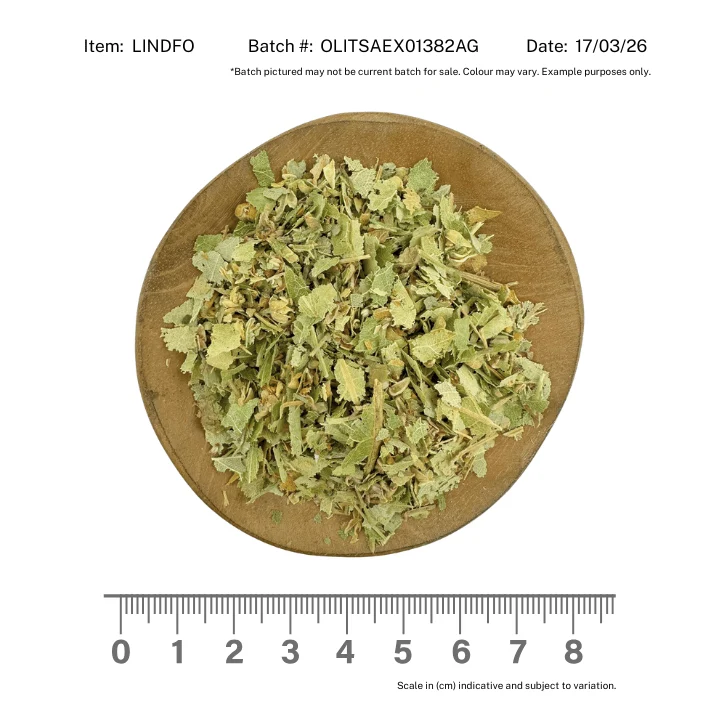 Linden Flower & Leaf Organic - Image 2