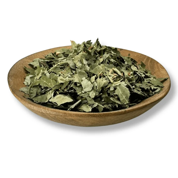 Linden Leaf