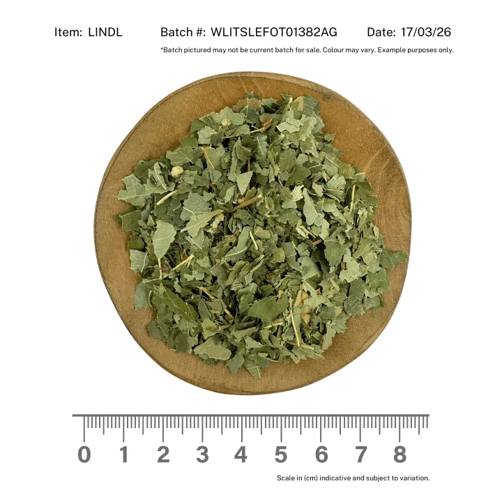 Linden Leaf - Image 2