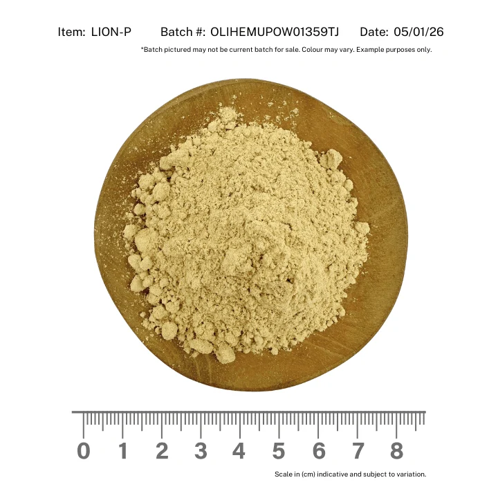 Lions Mane Mushroom Powder Organic - Image 2
