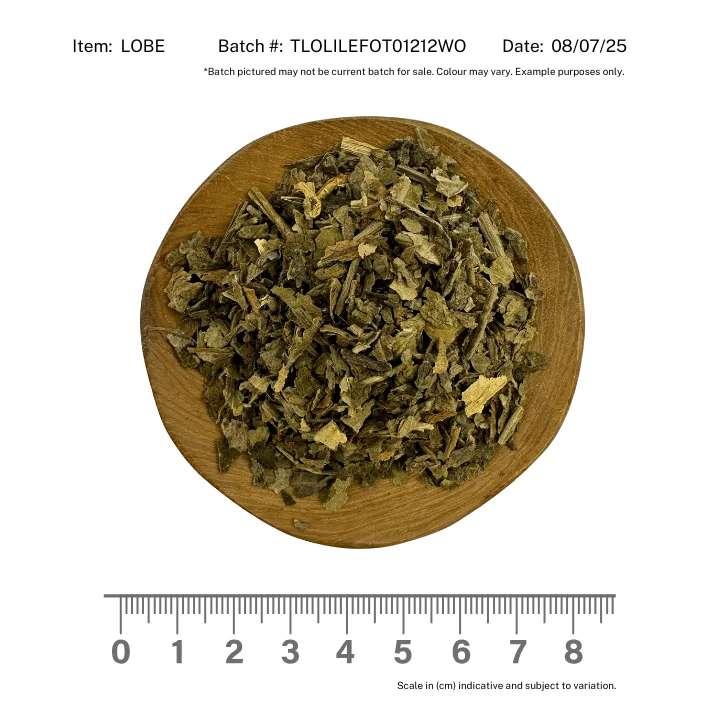 Lobelia Herb - Image 2