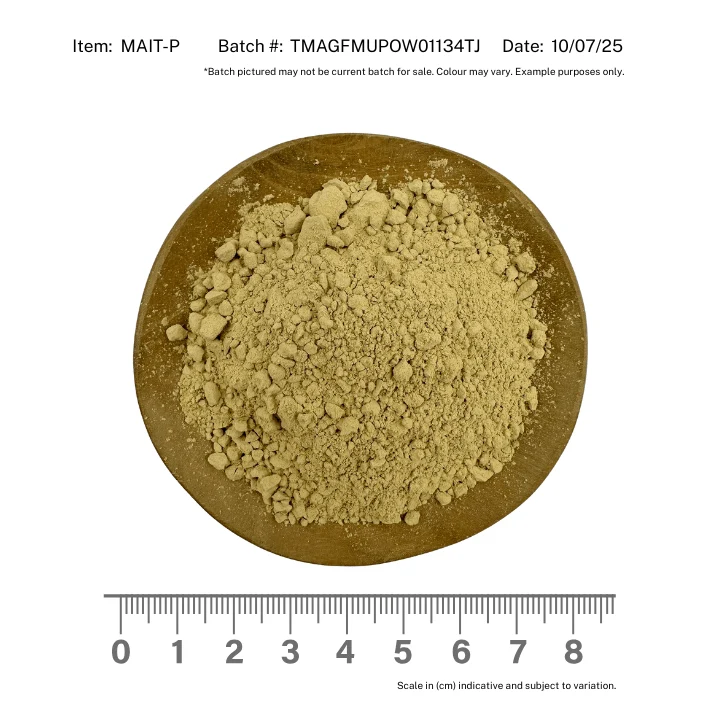Maitake Mushroom Powder - Image 2