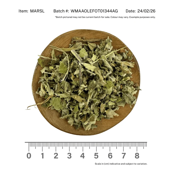 Marshmallow Leaf - Image 2