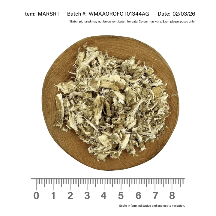 Marshmallow Root - Image 2